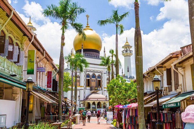 Private Car Tour for Singapore Highlights and Hidden Gems - Highlights of Singapores Ethnic Quarters