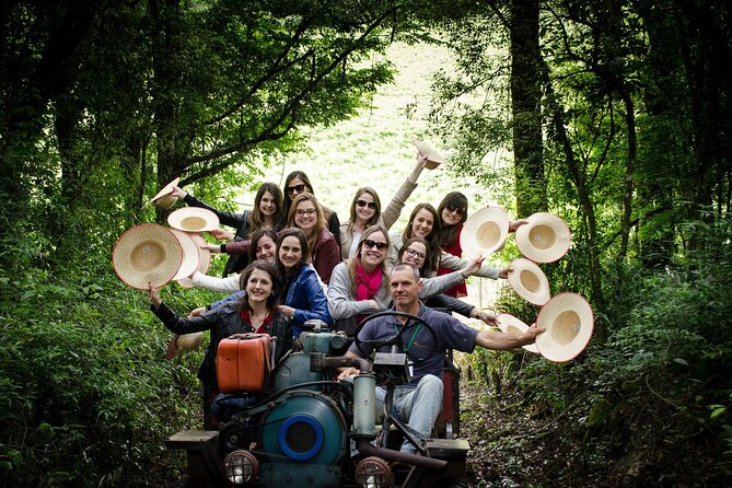 Private Carriage Ride in Flores Da Cunha - Services and Amenities