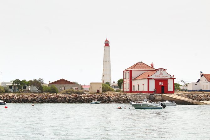 Private Catamaran Boat Tour - Ria Formosa - Ideal for Families and Groups
