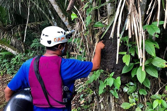 Private Cave Tubing and Zip Line Adventure Shore Excursion Tour Belize - Included Amenities