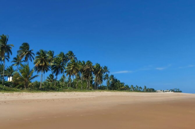 Private City Tour With Beach Stop for Swimming. - Pickup Information