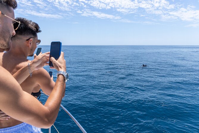 Private Coastline and Dolphins Yacht Cruise From Albufeira - Meeting Point and Pickup