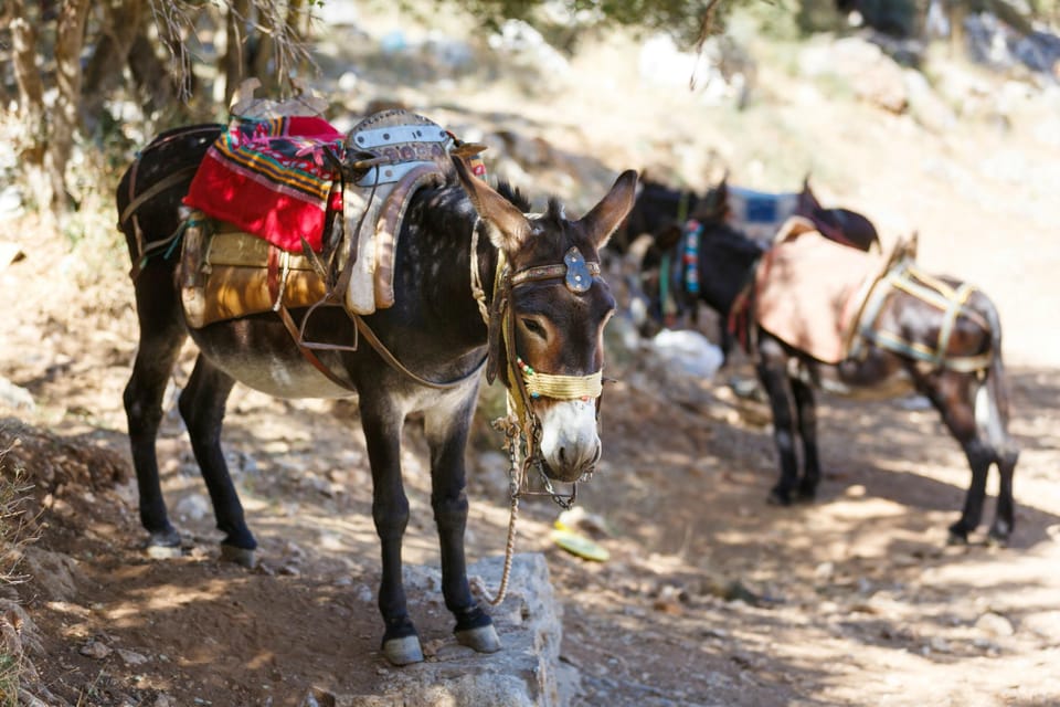 Private Cretan Hills and Villages Tour Inc. Lunch & Wine - Tour Highlights and Experiences