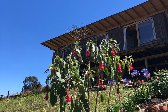 Private Day of Immersion in Country Life With Food - Connecting With Local Hosts