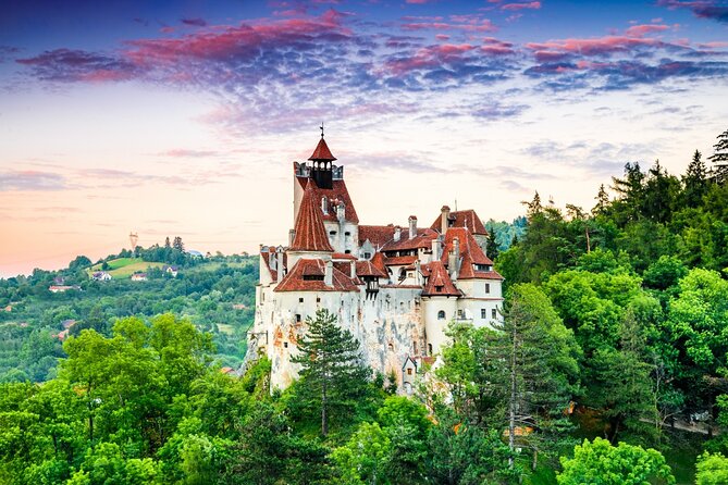 Private Day Tour in Transylvania, Peles and Bran Castles From Brasov - Tour Inclusions
