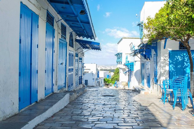 Private Day Tour Sidi Bousaid, Carthage and Hammamet Departing From Sousse - Pricing Details