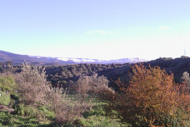 Private Day Trip to the Atlas Mountains From Fez - Pickup and Timing