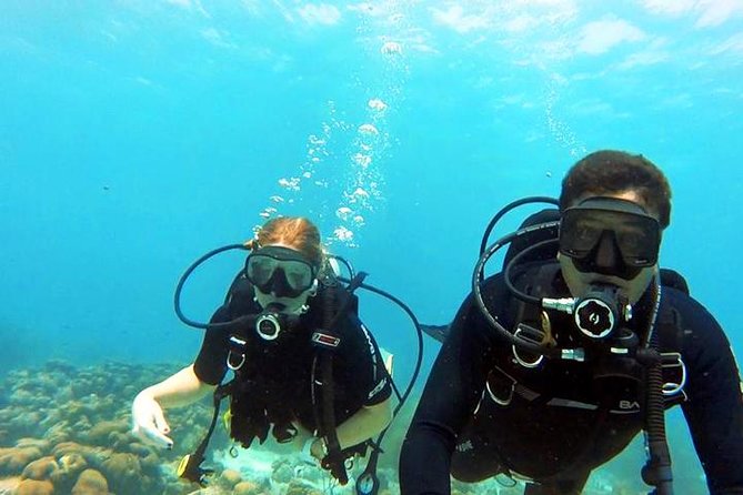 Private Dive Master 1 Tank Dive & Transportation - Pickup and Meeting Information