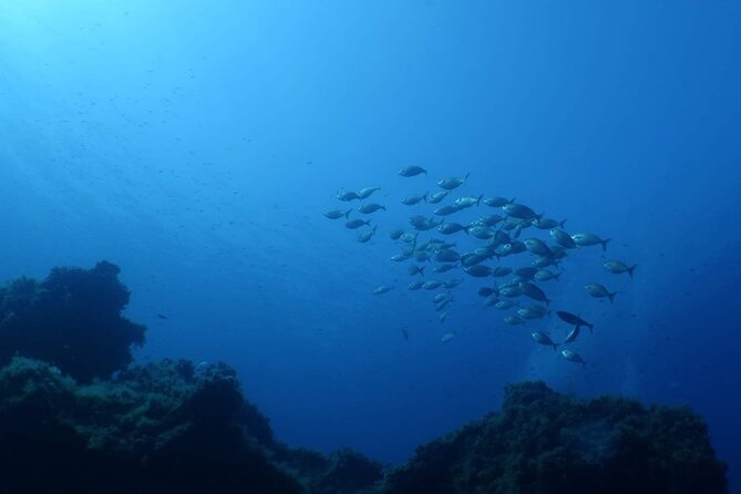 Private Diving Baptism in the Gulf of Calvi - Location and Accessibility Details