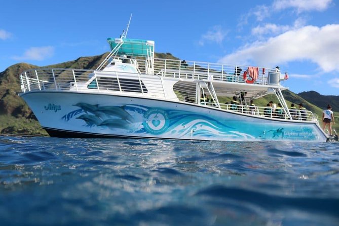 Private Dolphin Swim With Slide for up to 15 Passengers - Departure Details