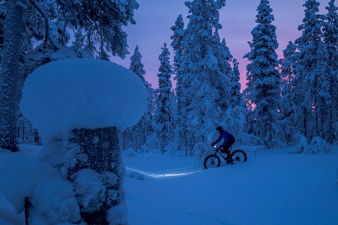 Private Electric Fat Bike Tour in Saariselkä - Transportation and Accessibility