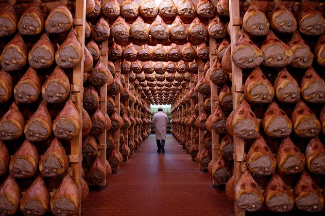 Private Emilia Romagna Food Tour Half Day - Transportation Options