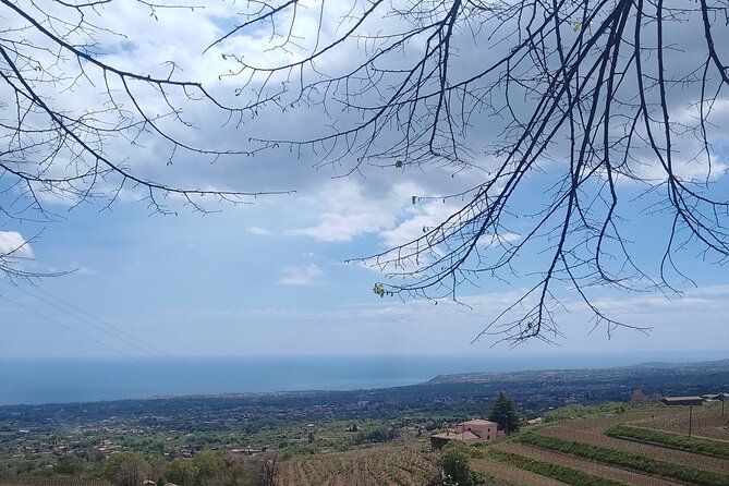 Private Etna Tour With Wine Tasting and Lunch - Immersive Tour Highlights