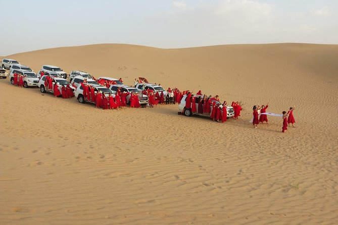 Private - Evening Desert Safari With Camel Ride, BBQ Dinner and Belly Dacne - Camel Ride Highlights