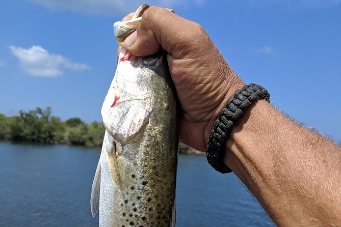 Private Fishing Charter on Tampa Bay and Its Backwaters - Captain Garys Expertise