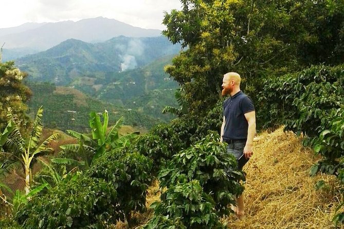 Private Full-Day Coffee Tour to Palmitas Farm Near Medellín - Itinerary Highlights