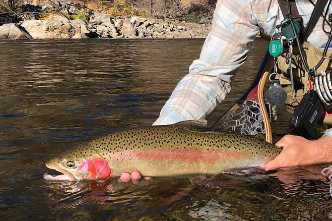 Private Full Day Fly Fishing For Beginners and Experienced Anglers - Included in the Package