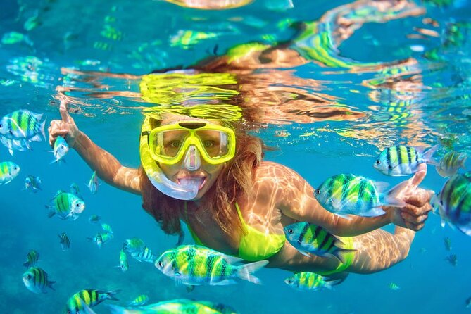 Private Full-Day Lovina Dolphin Watching and Snorkeling Boat Tour - Pricing and Booking Options