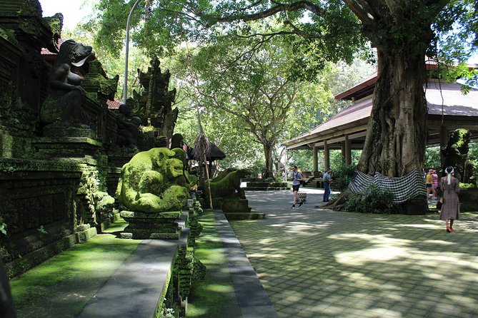 Private Full Day Tour to Ubud Highlights With Giant Swing - Transportation Details
