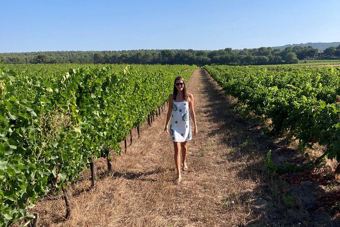 Private Full Day Wine Tour in Provence - Pickup and Meeting Details