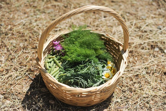 Private Greek Cooking Class and Foraging Experience in Syros - Preparing the Feast