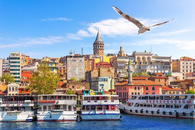 Private Guided Best of Istanbul Tour 1,2 or 3 Days - Reviews and Feedback