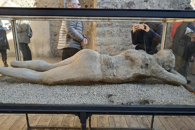 Private Guided Tour of Pompeii and Herculaneum - Included Services