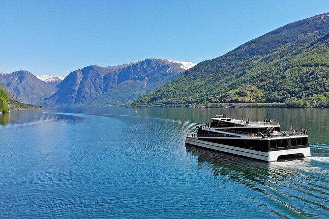 Private Guided Tour - Premium Nærøyfjord Cruise and Flåm Railway - Itinerary Highlights