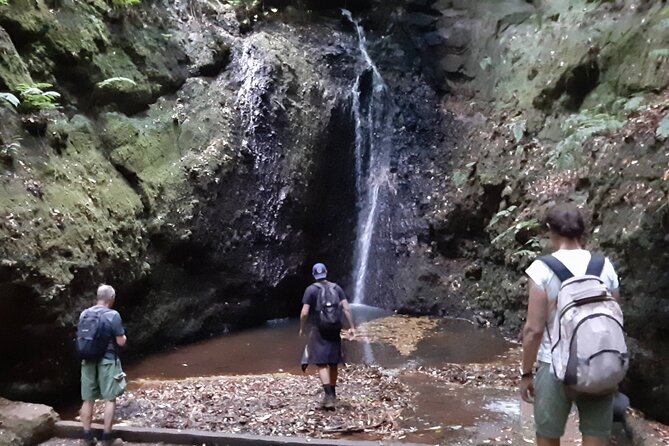 Private Guided Walk Levada Brasileiro – Levada Do Moinho - Inclusions