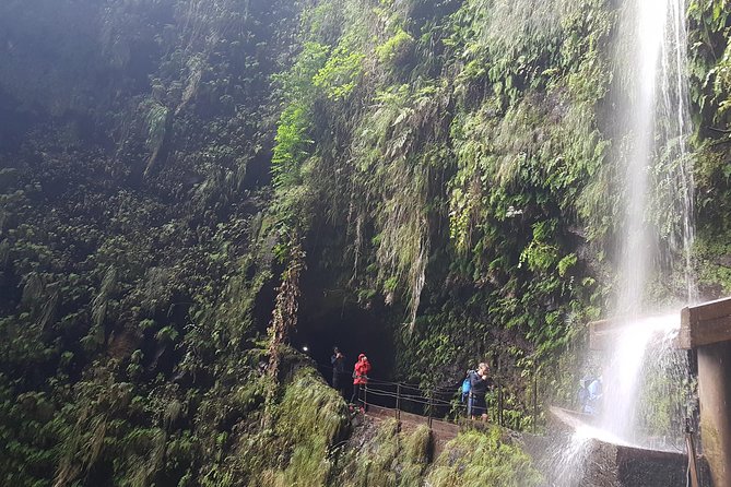 Private Guided Walk Levada Ribeira Da Janela - Additional Information
