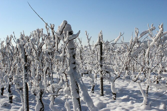 Private Half-Day Custom Wine Tasting Tour of Niagara-on-the-Lake - Transportation and Pickup