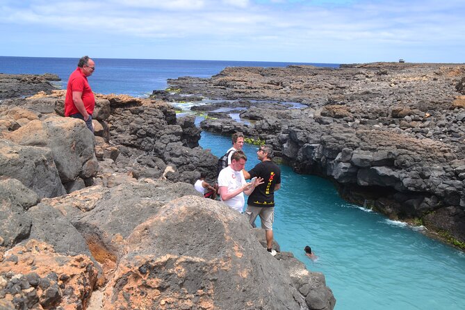 Private Half-Day Island Tour With Shark Watching Experience From Santa Maria - Highlights of the Experience
