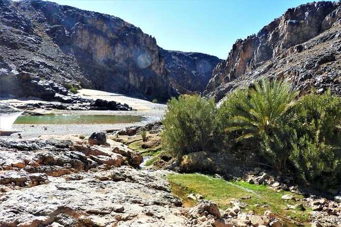 Private Half-Day Mountain Biking Excursion to Discover the Palm Grove of Skoura - Accessibility Features