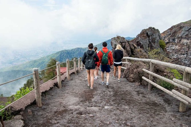 Private Half-Day Sightseeing Tour of Vesuvius National Park - What to Expect on the Tour
