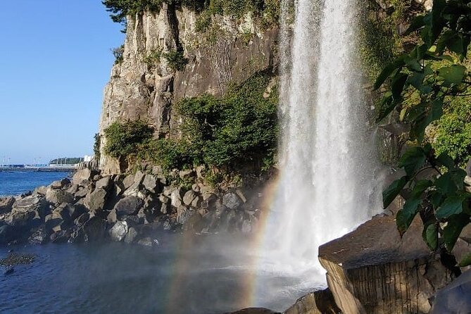Private Half Day South and West Tour in Jeju Island - Tour Participation Guidelines