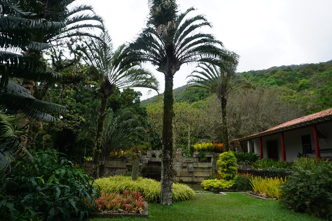 Private Half-Day Tour in Roberto Burle Marx Site - Transportation and Accessibility