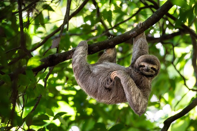 Private Half Day Tour Mombacho Cloud Forest From Granada - Tour Accessibility and Requirements