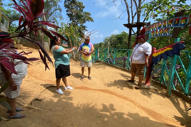 Private Half Day Tour on the Island of Roatan - Personalized Attention