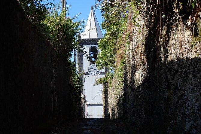 Private Half-Day Walking Tour of Horta Experience - Whats Included in the Experience