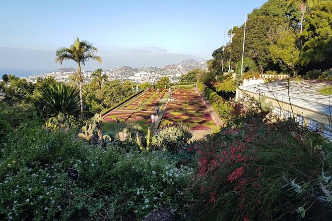 Private Halfday Madeira Garden Tour - Itinerary Highlights