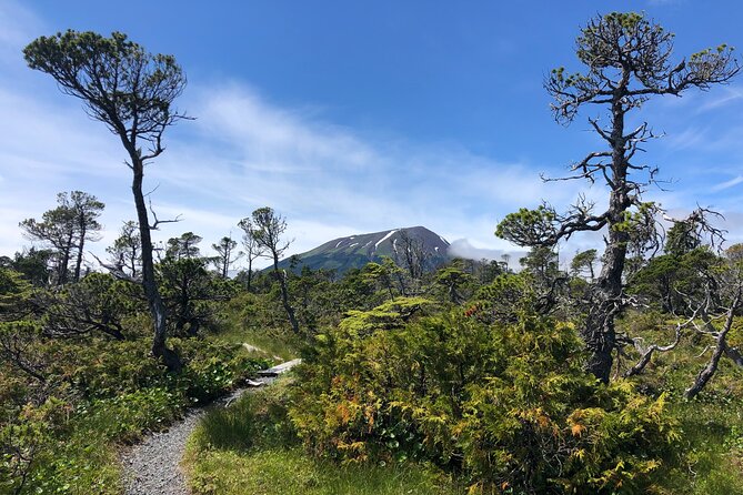 Private Hiking Tour in Sitka, Alaska - Included Amenities
