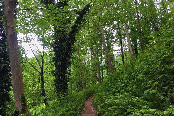 Private Hiking Tour to Mtirala National Park From Batumi - Inclusions