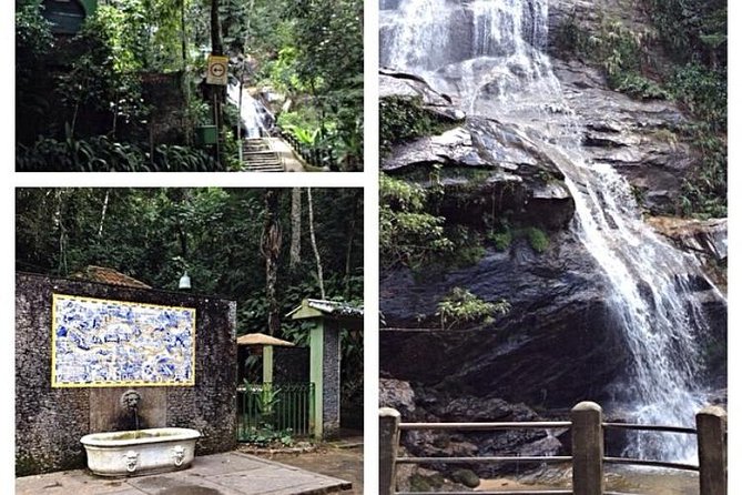 Private Hiking Tour to Tijuca Peak - Tijuca National Park - by OIR Aventura - Personalized Experience