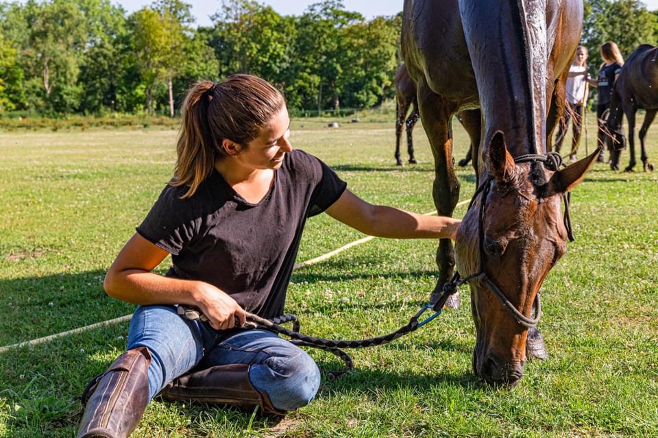 Private Horse Ride Experience - Itinerary and Location