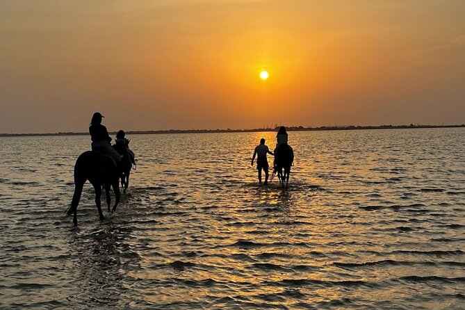 Private Horse Riding Experience at Red Sea - Scheduling Your Ride