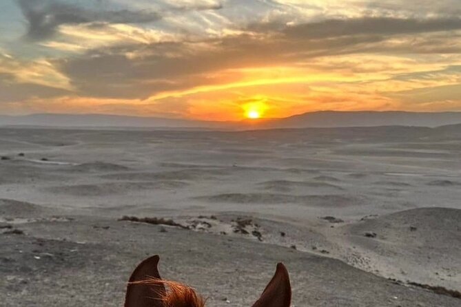 Private Horse Riding Tour in Luxor West Bank - Ride Options