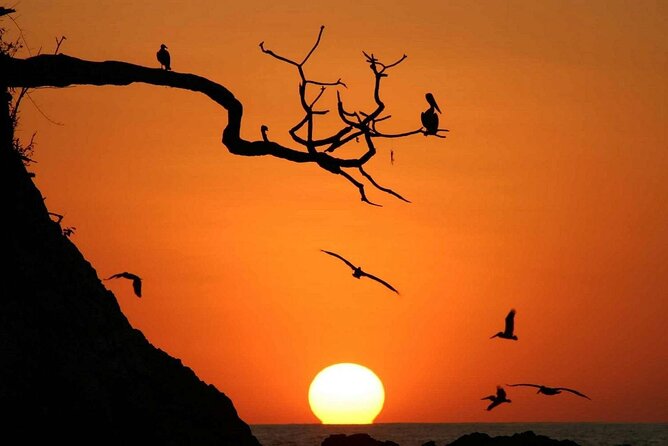 Private Horseback Riding Tour to Watch the Sunset in Nosara - Experience Details