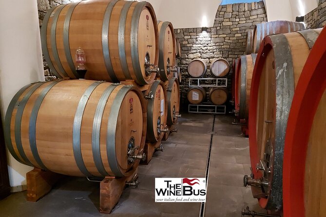 Private Irpinia Wine Tour From NAPLES With Sommelier - Transportation and Wine Tasting Experience