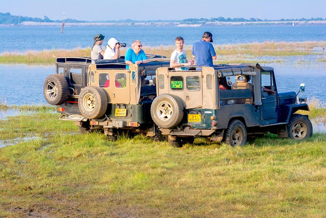 Private Jeep Safari at Minneriya National Park - Highlights of the Safari Experience