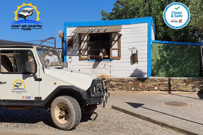 Private Jeep Safari Half-Day Tour - Tour Details